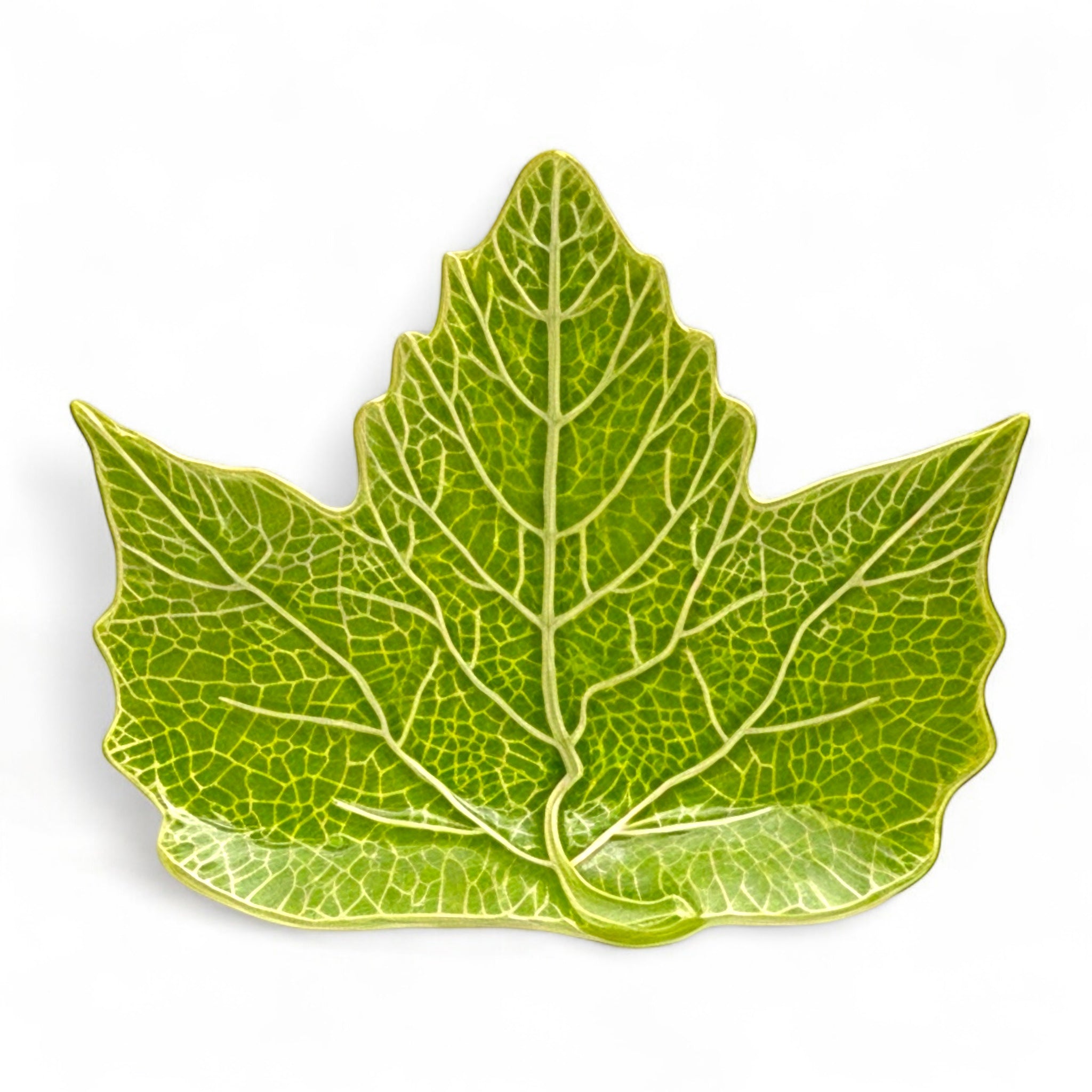 Assiette Feuille Sauvage – Vert Naturel 21 cm (vendue à l’unité)