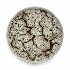 Assiette minérale - Effet Marbré Craquelé 20 cm (vendue à l’unité)