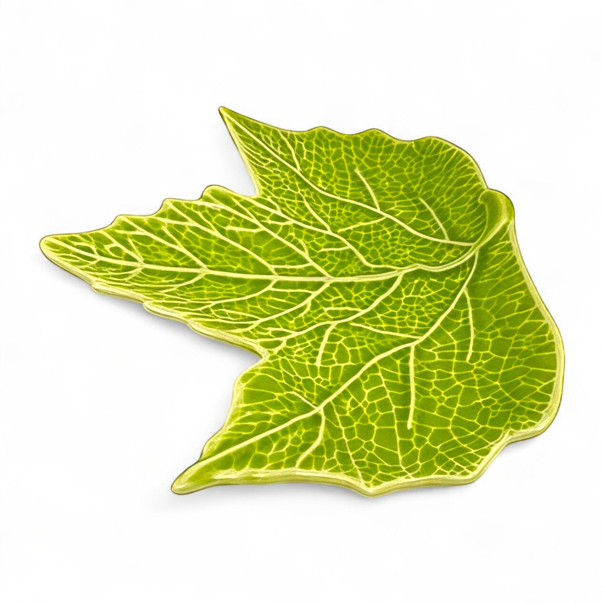 Assiette Feuille Sauvage – Vert Naturel 21 cm (vendue à l’unité)